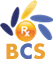 Best Computer Systems logo