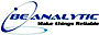 Beanalytic logo