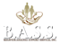 B.A.S.S logo