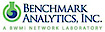 Benchmark Analytics logo