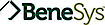 Benesys logo