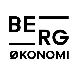Berg Økonomi logo