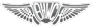 Beverly Hills Watch logo