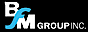 Bfm Group logo