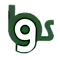 BG STEELS logo