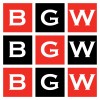 Bgw Group logo