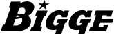 Bigge Crane and Rigging logo