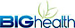 Big Health logo