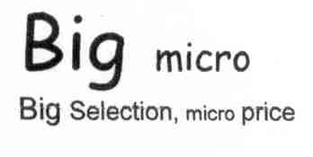 Big Micro logo