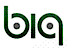 BIG Inc Denver logo