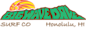 Big Wave Dave Surf logo