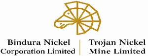 Bindura Nickel logo