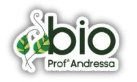 BioApoio - Grupo de Estudos de Biologia para Vestibular e Enem logo