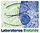 Biotalde logo