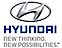 Birchwood Hyundai logo