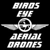 Birds Eye Aerial Drones logo