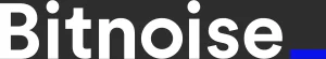 Bitnoise logo