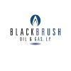 BlackBrush Oil & Gas logo