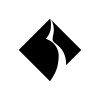 Black Diamond Networks logo