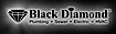 Black Diamond Plumbing and Mechanical logo