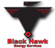 Blackhawk Energy Services logo