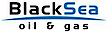 Black Sea Oil & Gas logo