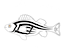 Blind Perch logo