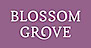 Blossom Grove logo