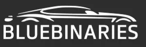 BlueBinaries Engineering and Solutions logo