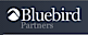 Bluebird Partners logo