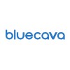 BlueCava logo