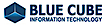 Bluecube Information Technology logo