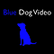 Blue Dog Video logo