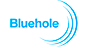 Bluehole logo