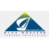 Blue Horizon Venture Consulting logo