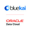 BlueKai logo