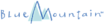 BlueMountain.com logo