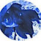 Blue Oranda Publishing logo