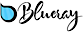 Blueray Management logo