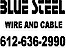 Blue Steel Wire logo