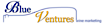 Blue Ventures Wine Marketing logo