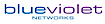 Blueviolet Networks logo