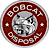 Bobcat Disposal of Sarasota logo