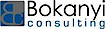 Bokanyi Consulting logo