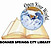 Bonner Springs City Library logo