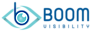 Boom Visibility logo