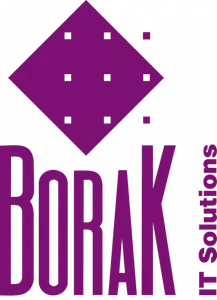 Borak Desarrollo logo