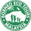 Borneo Eco Tours logo