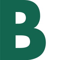 Boston Group logo