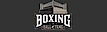 Boxing Hall of Fame logo